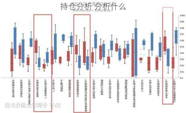 持仓分析 分析什么