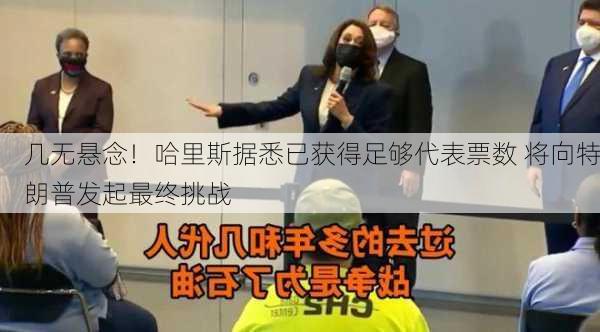 几无悬念！哈里斯据悉已获得足够代表票数 将向特朗普发起最终挑战