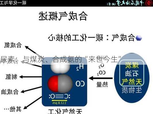 尿素：与煤炭、合成氨的“来世今生”