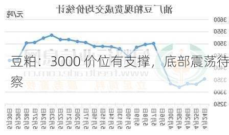 豆粕：3000 价位有支撑，底部震荡待察