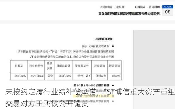 未按约定履行业绩补偿承诺，*ST博信重大资产重组交易对方王飞被公开谴责