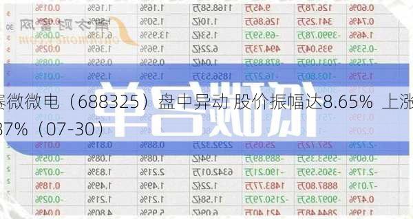 赛微微电（688325）盘中异动 股价振幅达8.65%  上涨6.87%（07-30）