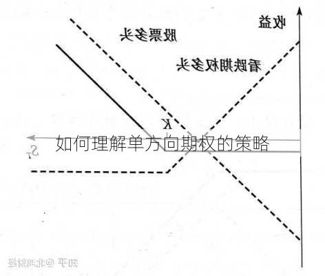 如何理解单方向期权的策略