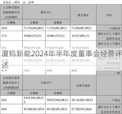 厦钨新能2024年半年度董事会经营评述