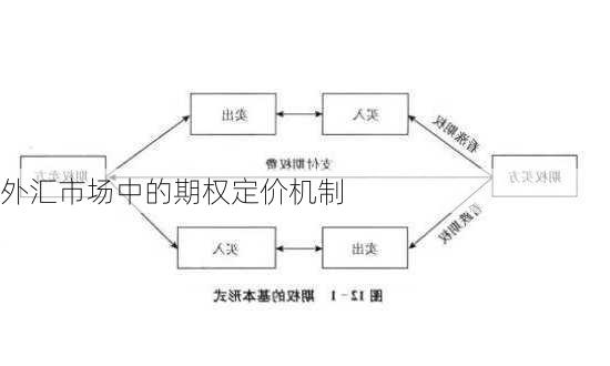 外汇市场中的期权定价机制