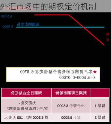 外汇市场中的期权定价机制