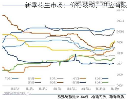 新季花生市场：价格波动，供应有限