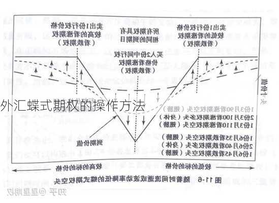 外汇蝶式期权的操作方法