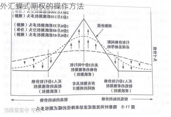 外汇蝶式期权的操作方法