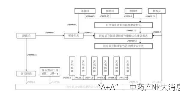 “A+A”！中药产业大消息