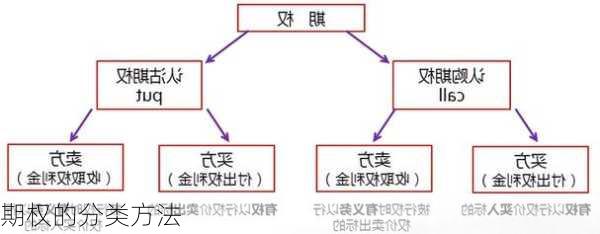 期权的分类方法