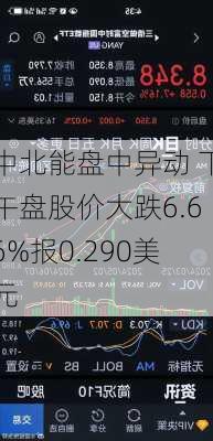 中北能盘中异动 下午盘股价大跌6.66%报0.290美元