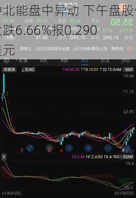 中北能盘中异动 下午盘股价大跌6.66%报0.290美元