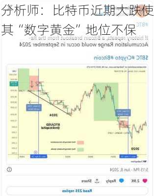 分析师：比特币近期大跌使其“数字黄金”地位不保