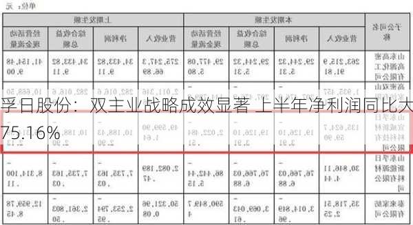 孚日股份：双主业战略成效显著 上半年净利润同比大增75.16%