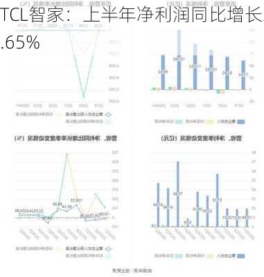 TCL智家：上半年净利润同比增长32.65%