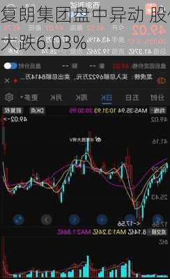 复朗集团盘中异动 股价大跌6.03%