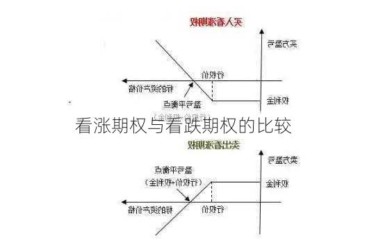 看涨期权与看跌期权的比较