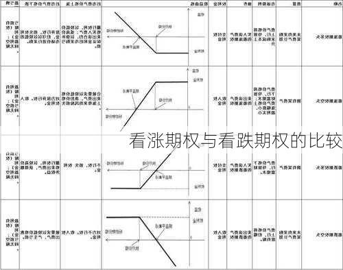 看涨期权与看跌期权的比较