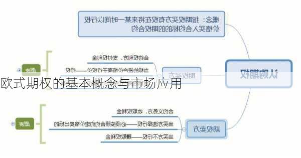 欧式期权的基本概念与市场应用