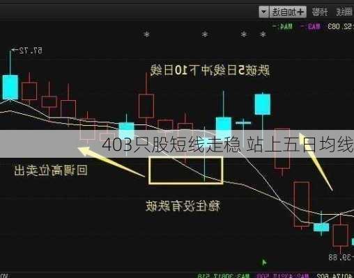 403只股短线走稳 站上五日均线