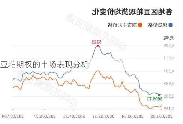 豆粕期权的市场表现分析