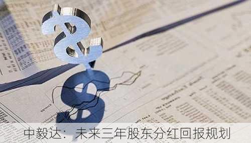 中毅达：未来三年股东分红回报规划