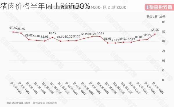 猪肉价格半年内上涨近30%