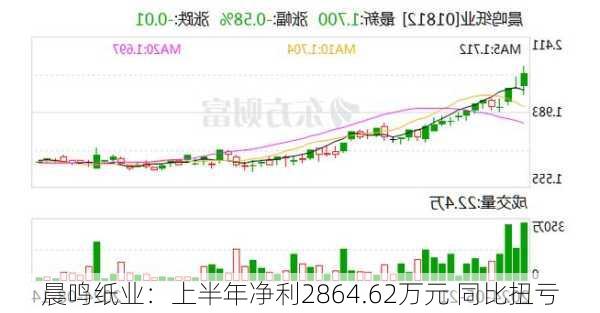 晨鸣纸业：上半年净利2864.62万元 同比扭亏