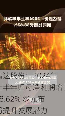 精达股份：2024年上半年归母净利润增长38.62% 多元布局提升发展潜力