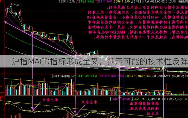 沪指MACD指标形成金叉，预示可能的技术性反弹