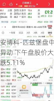 安博科-匹兹堡盘中异动 下午盘股价大跌5.11%