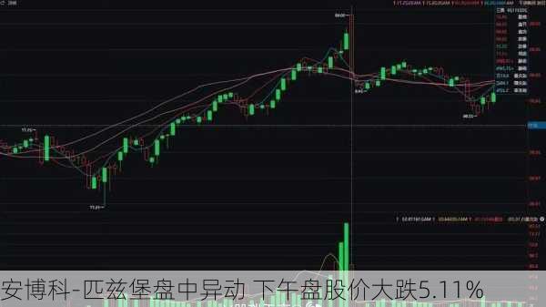 安博科-匹兹堡盘中异动 下午盘股价大跌5.11%