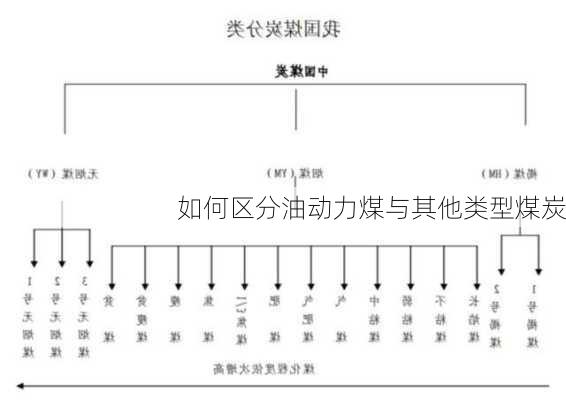 如何区分油动力煤与其他类型煤炭