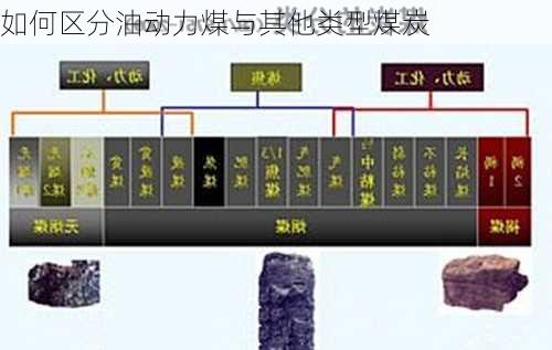 如何区分油动力煤与其他类型煤炭