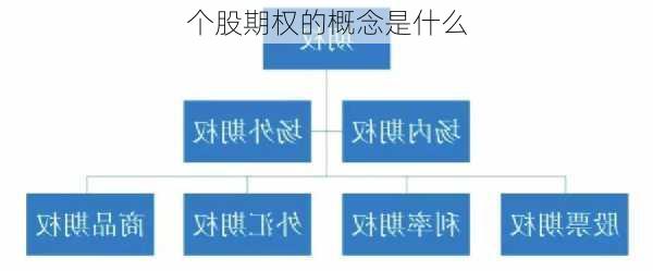 个股期权的概念是什么