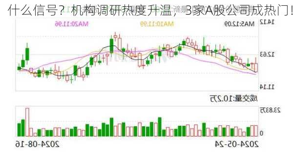 什么信号？机构调研热度升温，3家A股公司成热门！