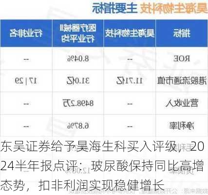 东吴证券给予昊海生科买入评级，2024半年报点评：玻尿酸保持同比高增态势，扣非利润实现稳健增长