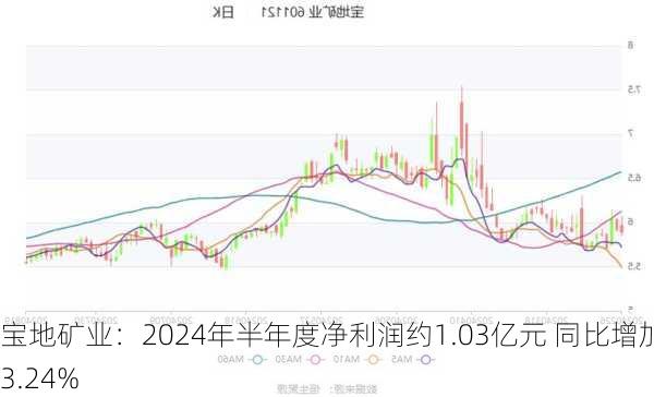 宝地矿业：2024年半年度净利润约1.03亿元 同比增加53.24%