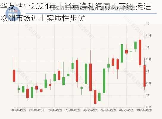 华友钴业2024年上半年净利润同比下滑 挺进欧洲市场迈出实质性步伐