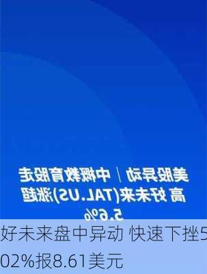 好未来盘中异动 快速下挫5.02%报8.61美元