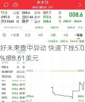 好未来盘中异动 快速下挫5.02%报8.61美元