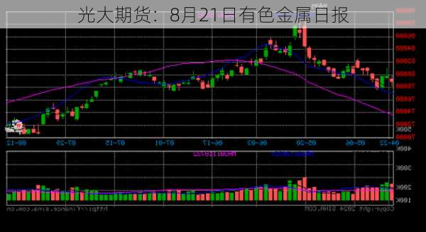 光大期货：8月21日有色金属日报