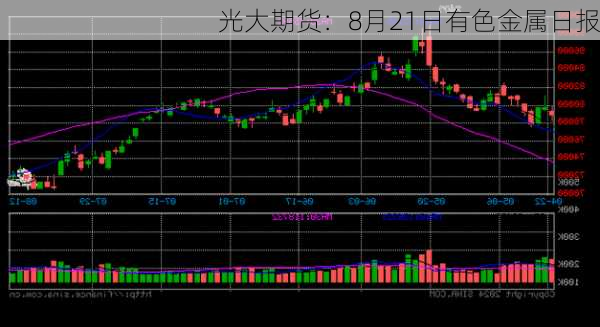 光大期货：8月21日有色金属日报