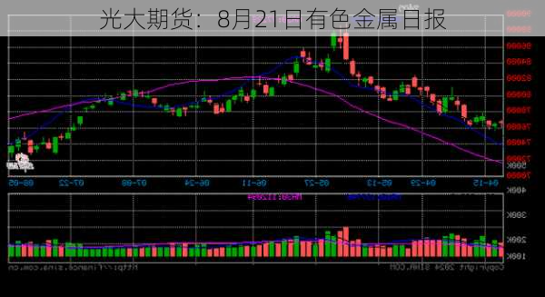 光大期货：8月21日有色金属日报