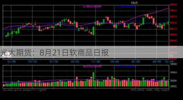 光大期货：8月21日软商品日报