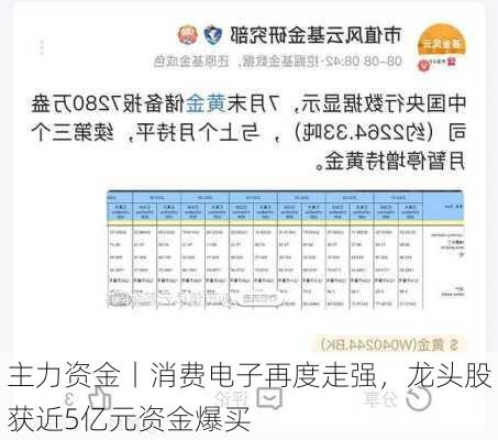 主力资金丨消费电子再度走强，龙头股获近5亿元资金爆买