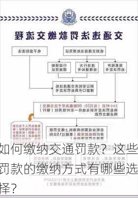 如何缴纳交通罚款？这些罚款的缴纳方式有哪些选择？