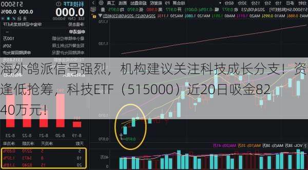 海外鸽派信号强烈，机构建议关注科技成长分支！资金继续逢低抢筹，科技ETF（515000）近20日吸金8240万元！