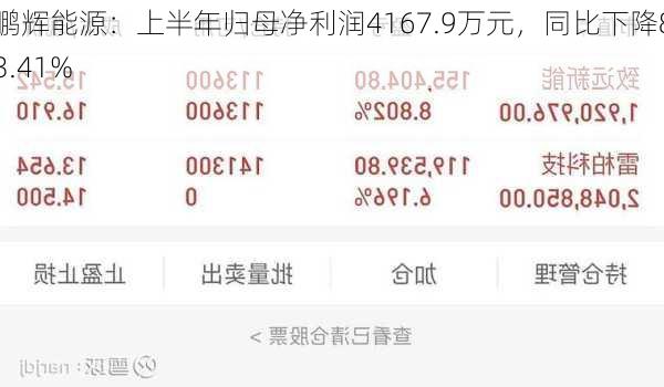 鹏辉能源：上半年归母净利润4167.9万元，同比下降83.41%